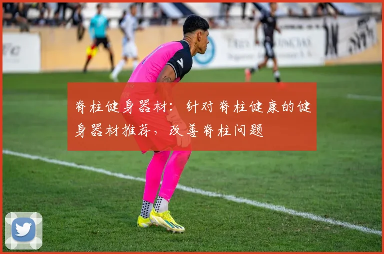 脊柱健身器材：针对脊柱健康的健身器材推荐，改善脊柱问题