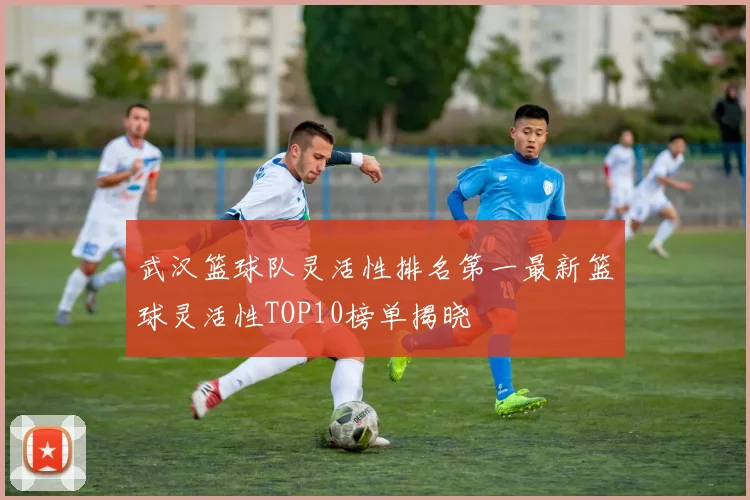 武汉篮球队灵活性排名第一最新篮球灵活性TOP10榜单揭晓