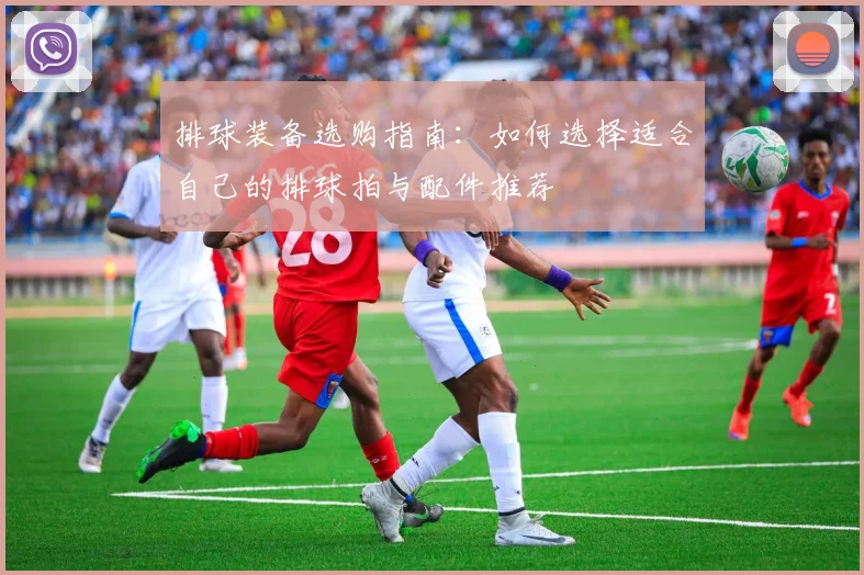 排球装备选购指南：如何选择适合自己的排球拍与配件推荐